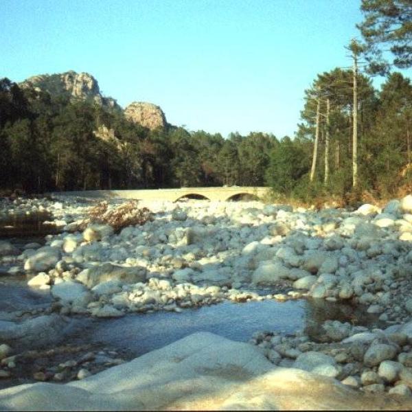 Korsika14