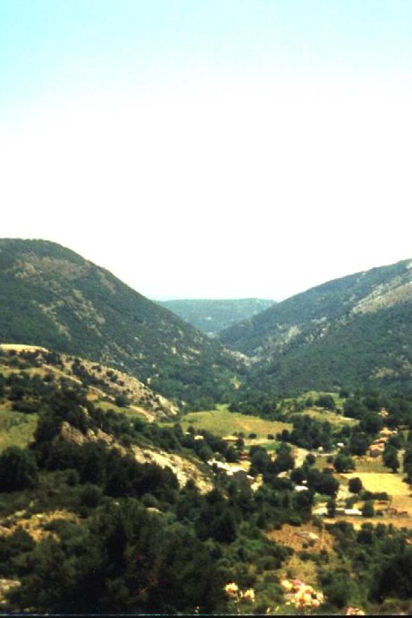 Alpen7